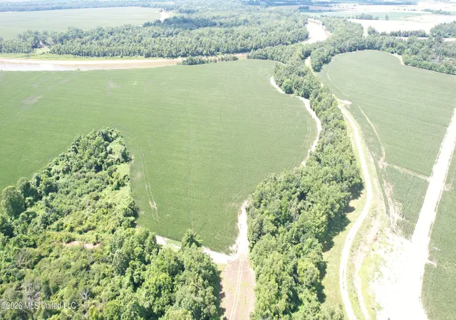 Photo 3 of Land for sale at Cr 540, Greenwood, MS 38930 | MLS# 4152297 | Listing updated on 2026-06-10