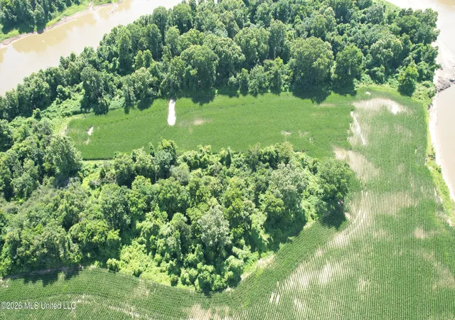 Photo 4 of Land for sale at Cr 540, Greenwood, MS 38930 | MLS# 4152297 | Listing updated on 2026-06-10