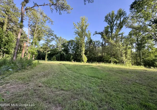 Homes for sale in Fayette, MS | Ms 553, Fayette, MS 39069 | MLS# 4153156