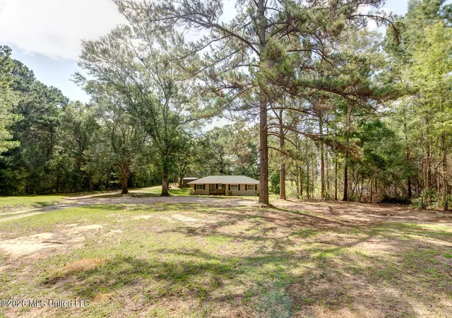 Homes for sale in Carriere, MS | 152 Mccastile Rd, Carriere, MS 39426 | MLS# 4152342