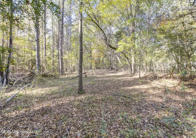 Homes for sale in Brandon, MS | Brenmar St, Brandon, MS 39042 | MLS# 4152690