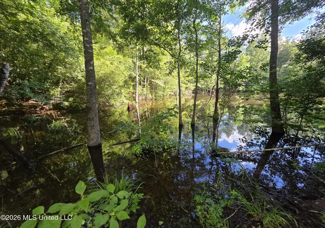 Photo 3 of Sale Pending at 416 Summers Ln, Brookhaven, MS 39601 | MLS# 4152372 | Listing updated on 2026-09-25