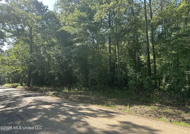 Homes for sale in Pelahatchie, MS | J C Prestage Rd, Pelahatchie, MS 39145 | MLS# 4152403