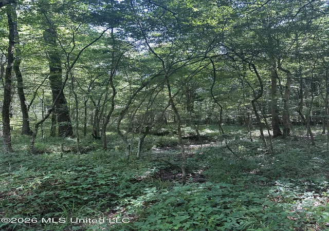 Homes for sale in Pelahatchie, MS | J C Prestage Rd, Pelahatchie, MS 39145 | MLS# 4152403