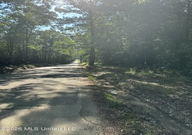 Homes for sale in Pelahatchie, MS | J C Prestage Rd, Pelahatchie, MS 39145 | MLS# 4152403