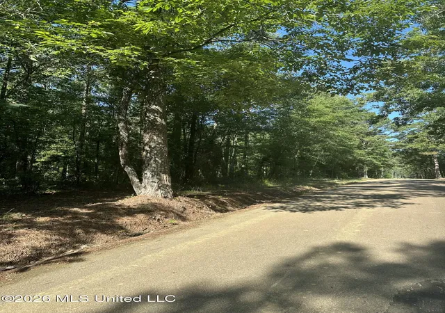 Homes for sale in Pelahatchie, MS | J C Prestage Rd, Pelahatchie, MS 39145 | MLS# 4152403