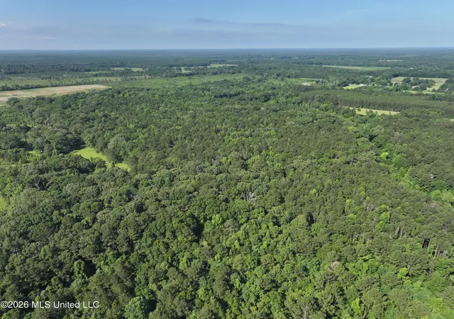 Homes for sale in Pelahatchie, MS | J C Prestage Rd, Pelahatchie, MS 39145 | MLS# 4152403