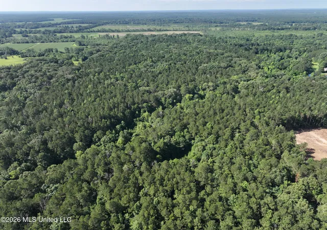 Homes for sale in Pelahatchie, MS | J C Prestage Rd, Pelahatchie, MS 39145 | MLS# 4152403