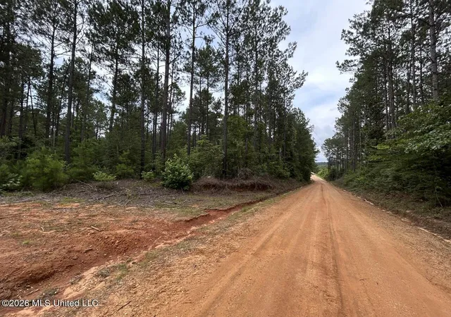 Homes for sale in Osyka, MS | 6643 Grange Hall Rd, Osyka, MS 39657 | MLS# 4152409