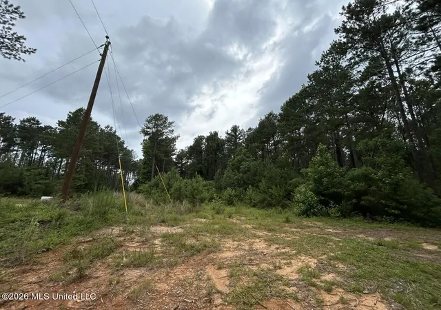 Homes for sale in Osyka, MS | 6643 Grange Hall Rd, Osyka, MS 39657 | MLS# 4152409