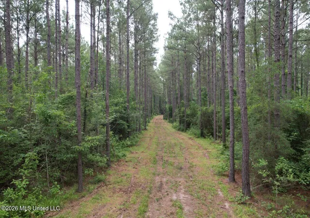 Homes for sale in Osyka, MS | 6643 Grange Hall Rd, Osyka, MS 39657 | MLS# 4152409