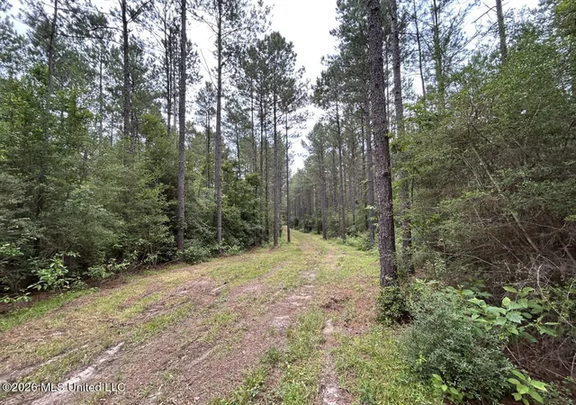 Homes for sale in Osyka, MS | 6643 Grange Hall Rd, Osyka, MS 39657 | MLS# 4152409