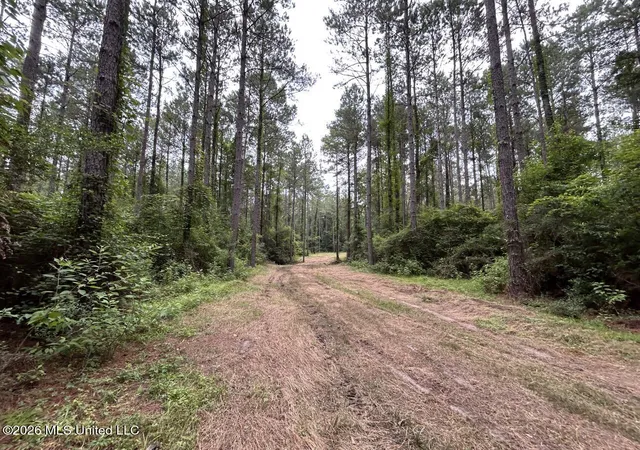 Homes for sale in Osyka, MS | 6643 Grange Hall Rd, Osyka, MS 39657 | MLS# 4152409