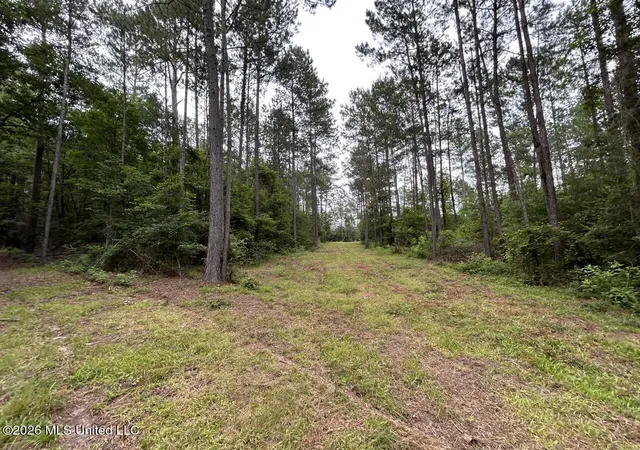 Homes for sale in Osyka, MS | 6643 Grange Hall Rd, Osyka, MS 39657 | MLS# 4152409