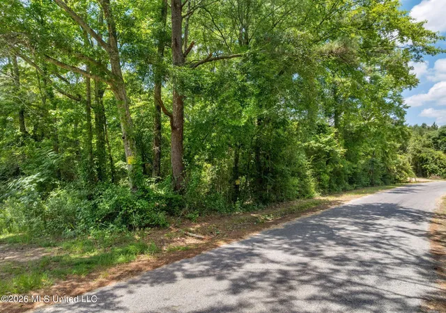 Photo 3 of Sale Pending at 31 Acres Ridgeland Rd, Bassfield, MS 39421 | MLS# 4152995 | Listing updated on 2026-07-22