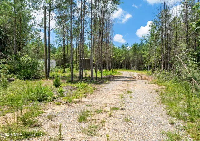 Photo 4 of Sale Pending at 31 Acres Ridgeland Rd, Bassfield, MS 39421 | MLS# 4152995 | Listing updated on 2026-07-22