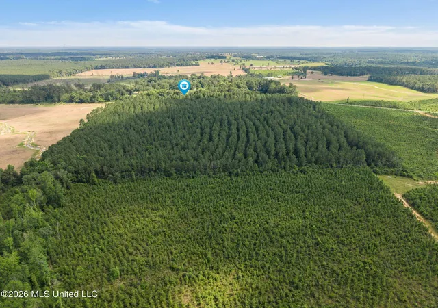 Homes for sale in Collins, MS | 462 Sunset Williamsburg Rd, Collins, MS 39428 | MLS# 4154709