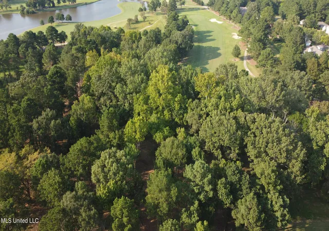 Photo 3 of Land for sale at Annandale Dr, Madison, MS 39110 | MLS# 4152495 | Listing updated on 2026-06-11