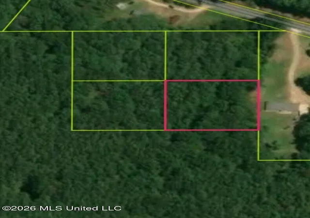 Homes for sale in Bogue Chitto, MS | Sw Summit Dr, Bogue Chitto, MS 39629 | MLS# 4153175