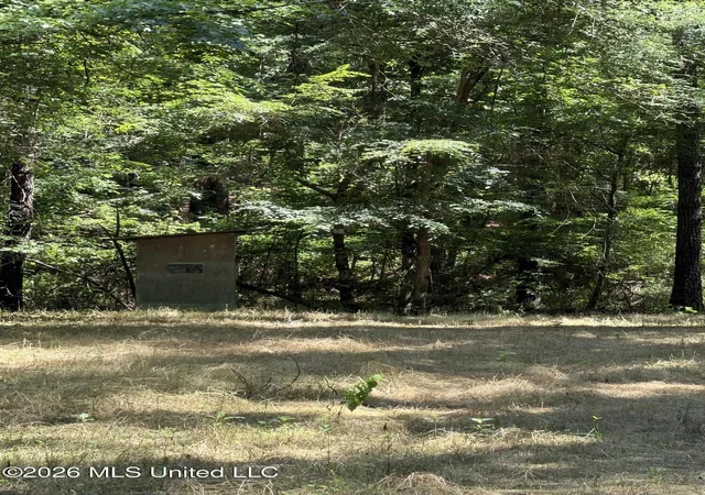 Homes for sale in Newton, MS | Walker Rd, Newton, MS 39345 | MLS# 4152609