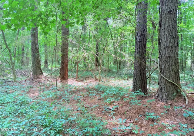 25th image of 0164 Potluck, Canton, MS 39046 | MLS# 4152627