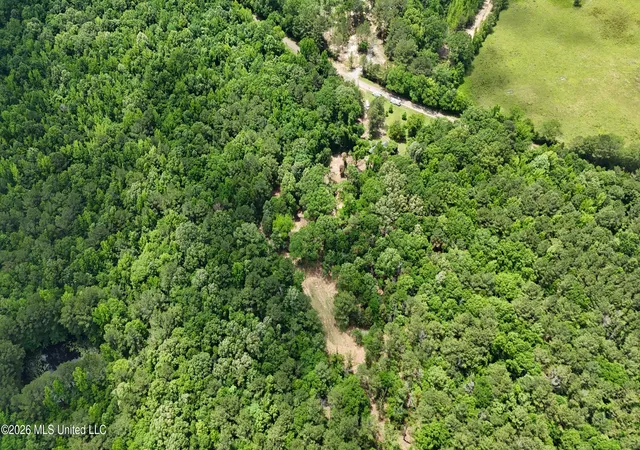 Photo 3 of Land for sale at 0164 Potluck, Canton, MS 39046 | MLS# 4152627 | Listing updated on 2026-08-05