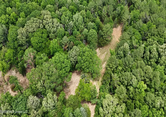 Photo 4 of Land for sale at 0164 Potluck, Canton, MS 39046 | MLS# 4152627 | Listing updated on 2026-08-05
