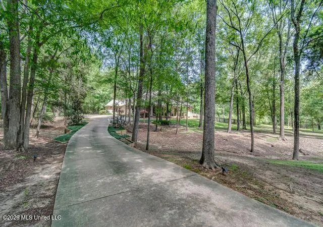 4th image of 404 Locust Cvs, Madison, MS 39110 | MLS# 4152750