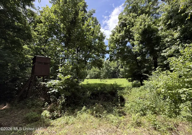 Homes for sale in Woodville, MS | 14937 W Mississippi 24, Woodville, MS 39669 | MLS# 4152747