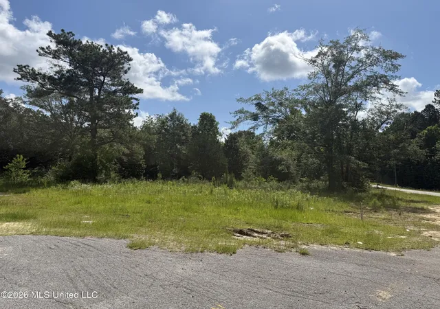 Photo 2 of Land for sale at 22280 Success Rd, Saucier, MS 39574 | MLS# 4152748 | Listing updated on 2026-06-23