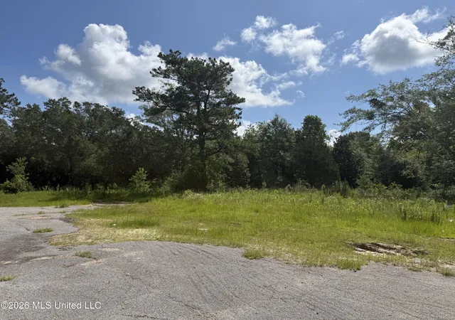 Photo 3 of Land for sale at 22280 Success Rd, Saucier, MS 39574 | MLS# 4152748 | Listing updated on 2026-06-23