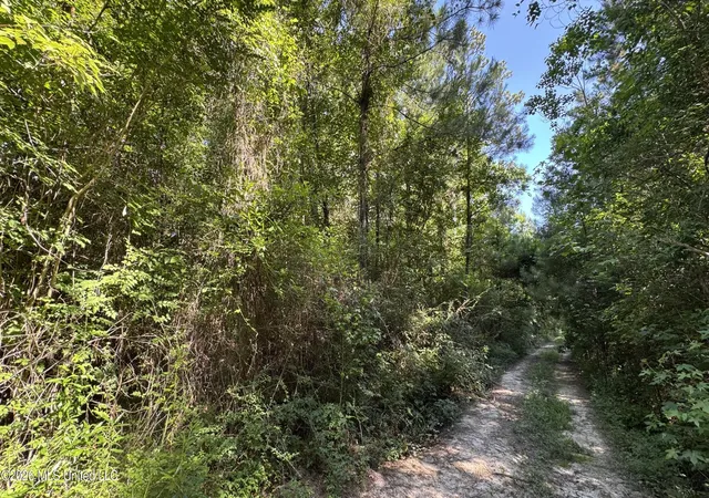 Photo 2 of Land for sale at Lot 10 Riverside Dr, Biloxi, MS 39532 | MLS# 4152872 | Listing updated on 2026-06-15