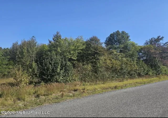 Homes for sale in Coldwater, MS | 13 Sunset Dr, Coldwater, MS 38618 | MLS# 4152785