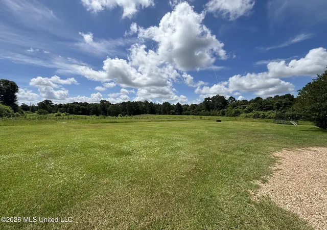 Homes for sale in Tylertown, MS | 166 W Lexie Rd, Tylertown, MS 39667 | MLS# 4152919