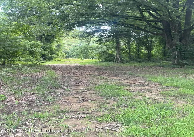 Homes for sale in Sarah, MS | Longtown Rd, Sarah, MS 38665 | MLS# 4152793