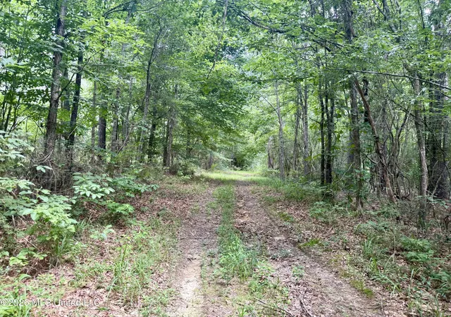 Homes for sale in Bogue Chitto, MS | Chisholm Dr, Bogue Chitto, MS 39629 | MLS# 4152808