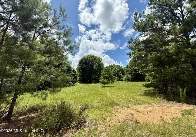 Homes for sale in Bogue Chitto, MS | Chisholm Dr, Bogue Chitto, MS 39629 | MLS# 4152808