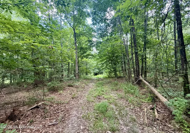 Homes for sale in Bogue Chitto, MS | Chisholm Dr, Bogue Chitto, MS 39629 | MLS# 4152808
