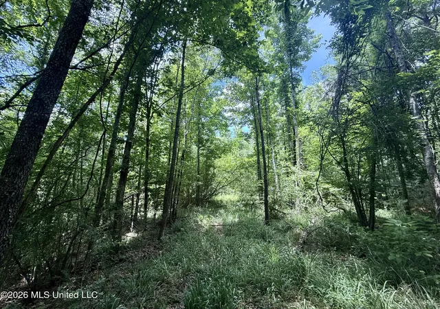 Homes for sale in Bogue Chitto, MS | Chisholm Dr, Bogue Chitto, MS 39629 | MLS# 4152808