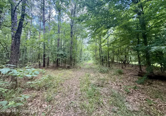 Homes for sale in Bogue Chitto, MS | Chisholm Dr, Bogue Chitto, MS 39629 | MLS# 4152808