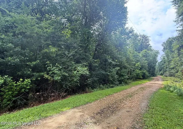 Homes for sale in Summit, MS | 3042 Brandi Rd, Summit, MS 39666 | MLS# 4153121