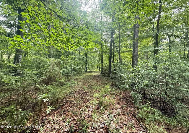 Homes for sale in Summit, MS | 3042 Brandi Rd, Summit, MS 39666 | MLS# 4153121