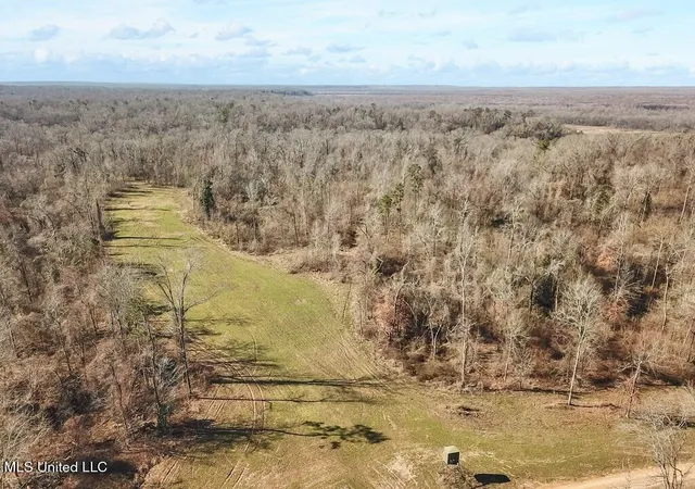 Homes for sale in Lorman, MS | 1 Noble Swamp Road, Lorman, MS 39096 | MLS# 4152951