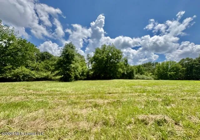 Homes for sale in Senatobia, MS | 703 Burton Rd, Senatobia, MS 38668 | MLS# 4153173