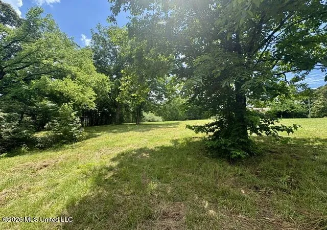 Homes for sale in Senatobia, MS | 703 Burton Rd, Senatobia, MS 38668 | MLS# 4153173