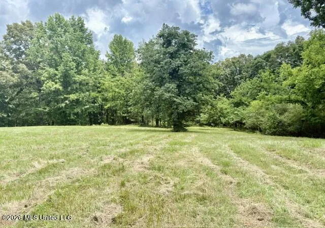 Homes for sale in Senatobia, MS | 703 Burton Rd, Senatobia, MS 38668 | MLS# 4153173