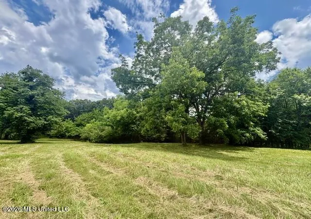 Homes for sale in Senatobia, MS | 703 Burton Rd, Senatobia, MS 38668 | MLS# 4153173