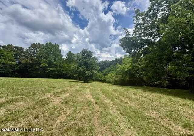 Homes for sale in Senatobia, MS | 703 Burton Rd, Senatobia, MS 38668 | MLS# 4153173
