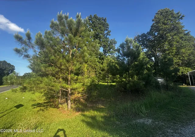 Homes for sale in Byhalia, MS | 289 Saint Paul Rd, Byhalia, MS 38611 | MLS# 4153023