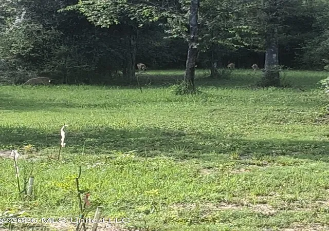 31st image of 190e Burnis Havard Rd, Perkinston, MS 39573 | MLS# 4153042